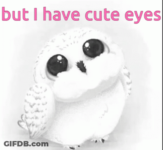 But I Have Cute Eyes Hedwig GIF