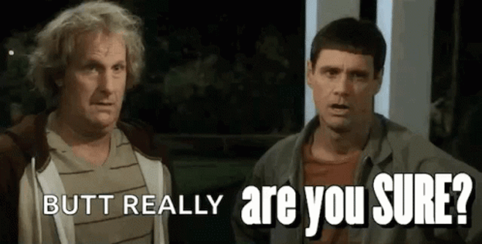 But Really Are You Sure Sure GIF
