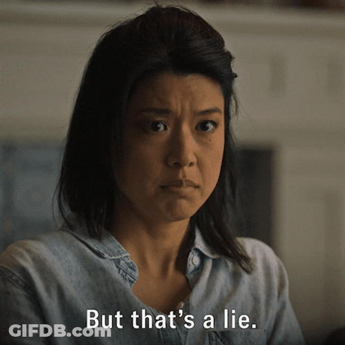 But That's A Lie GIF