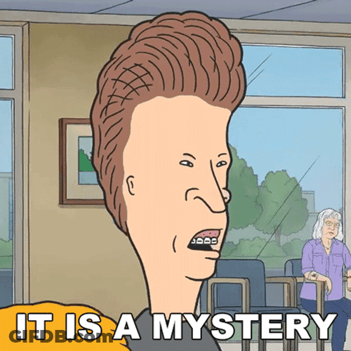 Butt Head States It Is Mystery GIF