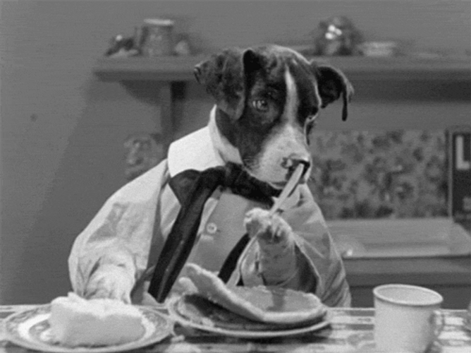 Butter Dog Cooking GIF
