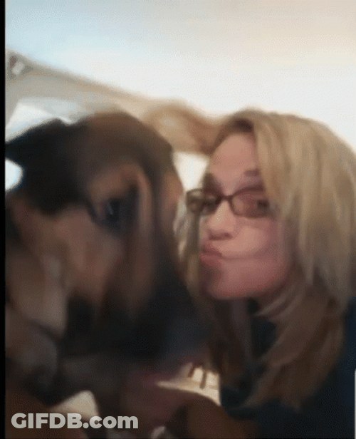 Butter Dog Lick Kisses GIF