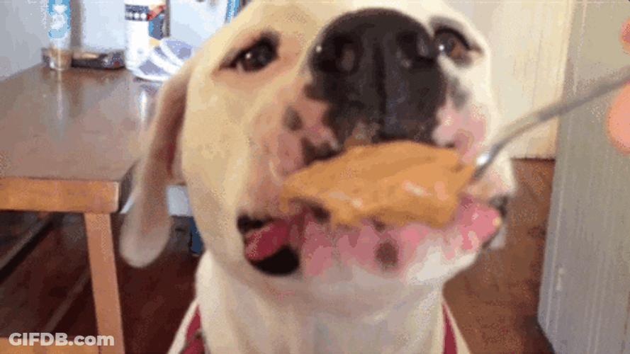 Butter Dogs Love GIF