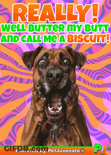 Butter My Butt Call Me Biscuit GIF