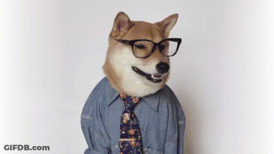 Butter Professor Dog GIF