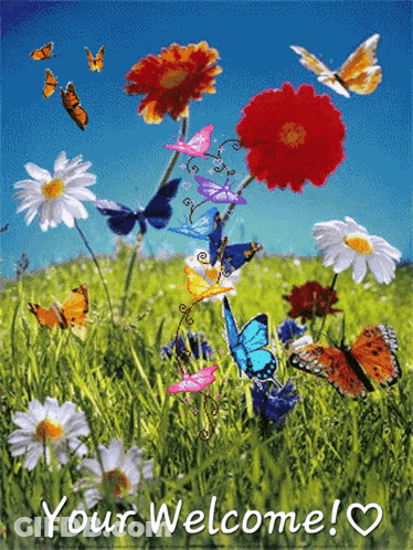 Butterflies And Flowers Saying Your Welcome GIF