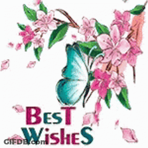 Butterflies Best Wishes GIF