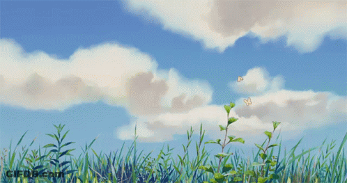 Butterflies Flying Over Grass Field GIF