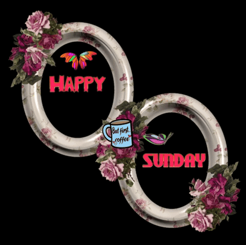 Butterflies Happy Fall Sunday GIF