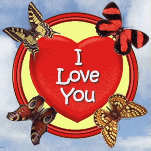 Butterflies Heart I Love You GIF