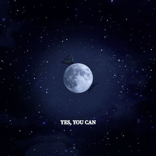 Butterflies Landing On Full Moon GIF