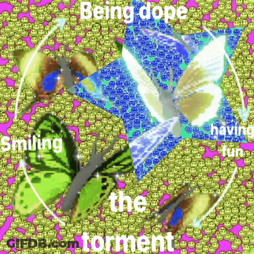 Butterflies Smiley Faces Being Dope Smiling Having Fun Torment GIF
