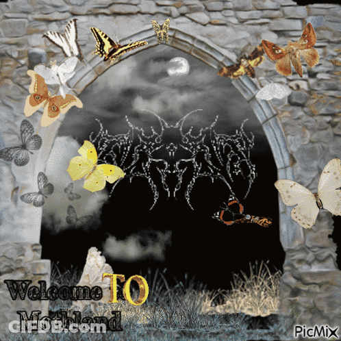 Butterflies Welcome To Mothland GIF