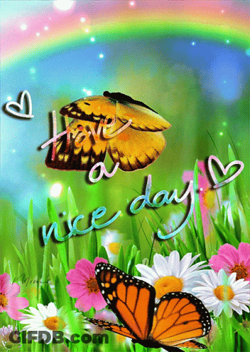 Butterflies With Text Have A Nice Day GIF