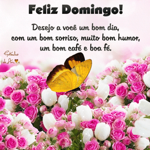 Butterfly Above Flower Feliz Domingo Artwork GIF