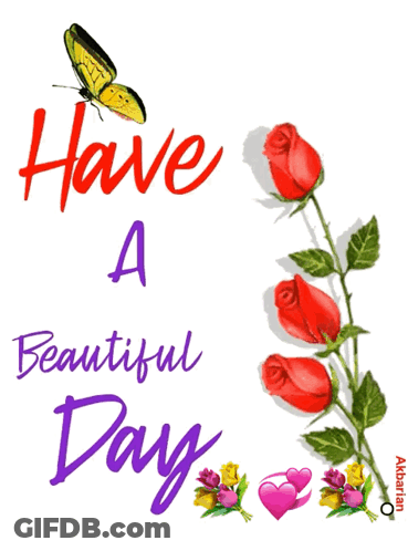 Butterfly And Roses Have A Beautiful Day GIF