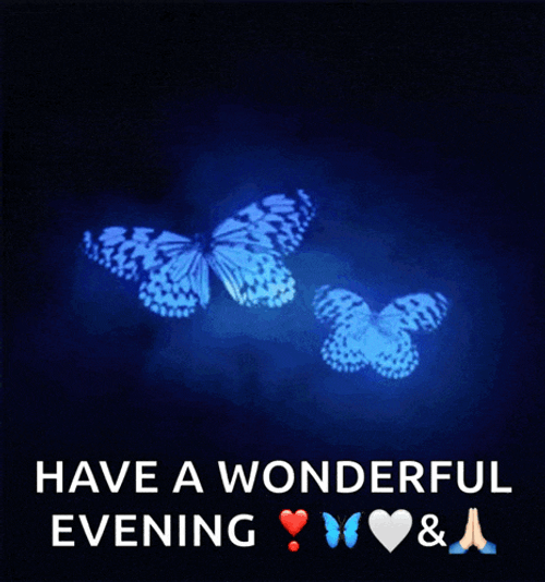Butterfly Blue GIF