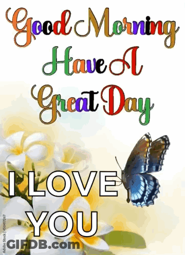 Butterfly Flowers Good Morning I Love You GIF
