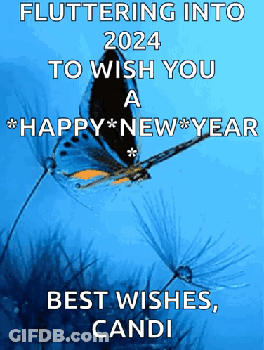 Butterfly Fluttering Into 2024 With Best Wishes GIF