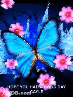Butterfly Flying Over Blue Swirl Cibela73 GIF