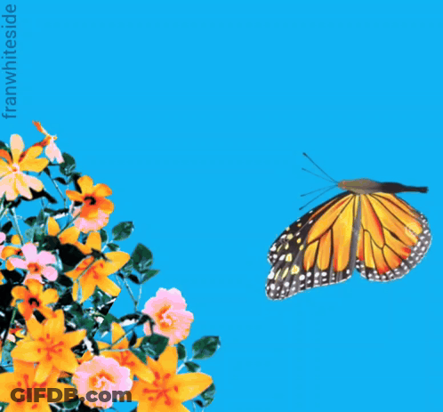 Butterfly Flying Over Flowers Saying Good Morning GIF