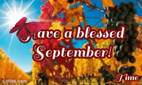 Butterfly Flying Over Grapes Have A Blessed September GIF