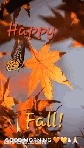 Butterfly Flying Over Maple Leaf Saying Happy Fall GIF