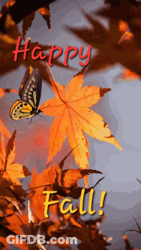 Butterfly Flying Over Maple Leaf Saying Happy Fall GIF