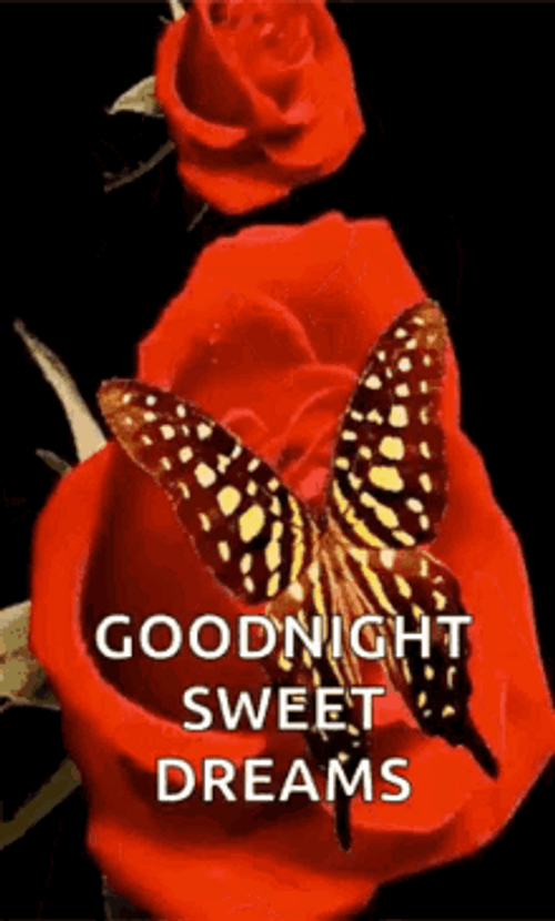 Butterfly Flying Through Roses Good Night GIF