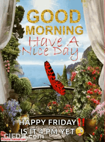 Butterfly Good Morning Have A Nice Day GIF