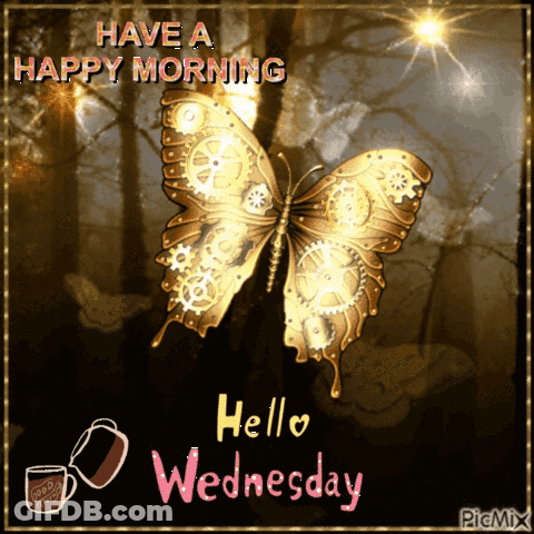 Butterfly Have A Happy Morning Hello Wednesday GIF