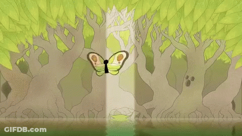 Butterfly In Forest GIF