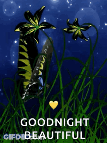 Butterfly In Grass Goodnight Beautiful GIF