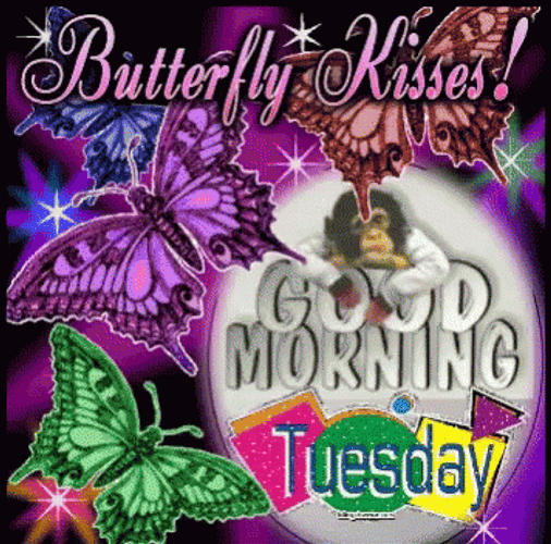 Butterfly Kisses In Thankful Tuesday GIF