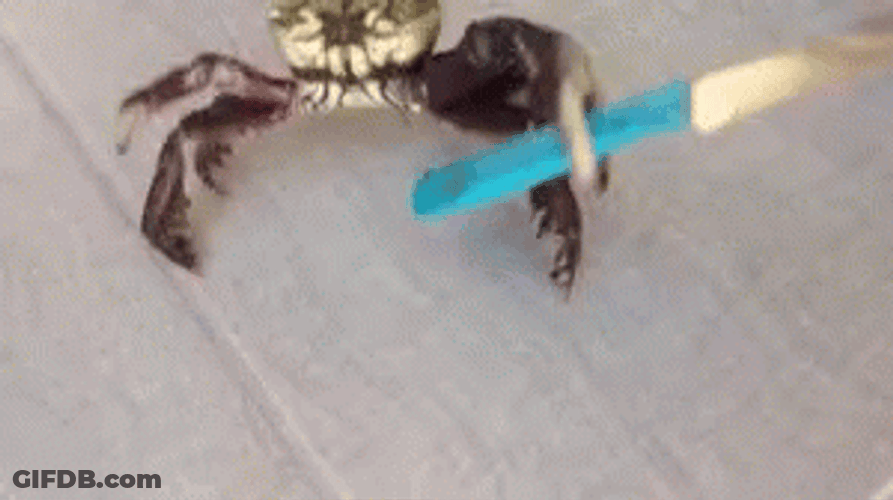 Butterfly Knife GIF