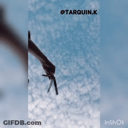 Butterfly Knife GIF