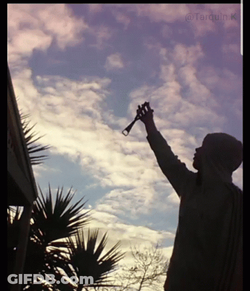 Butterfly Knife GIF