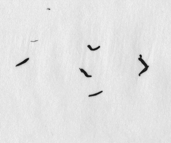 Butterfly Lips Monochrome GIF