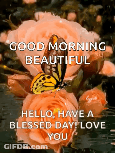 Butterfly On Flower Saying Good Morning Beautiful Blessed Day GIF