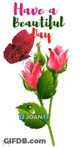Butterfly On Flower Saying Have A Beautiful Day Joan GIF