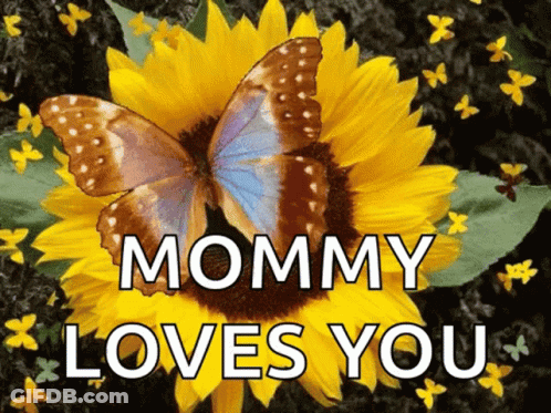 Butterfly On Sunflower Saying Mommy Loves You GIF