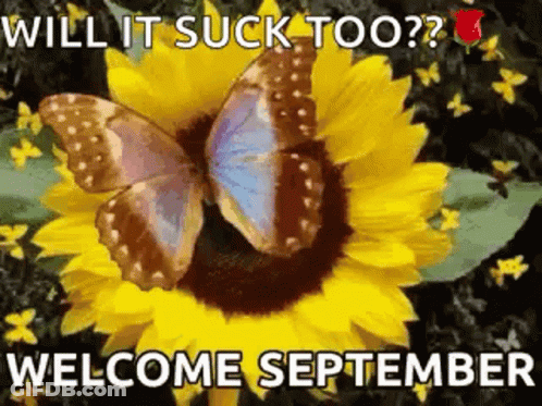 Butterfly On Sunflower Will It Suck Too Welcome September GIF