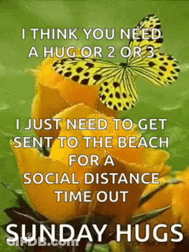Butterfly On Yellow Flower With Hug Message GIF