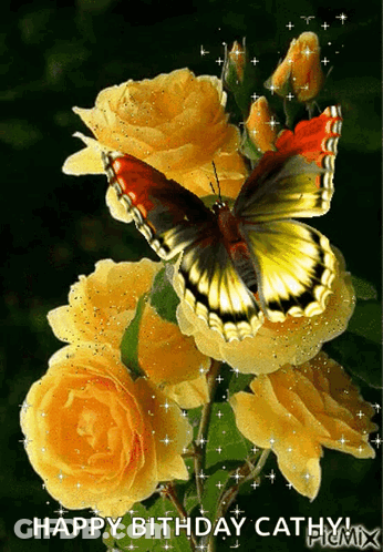 Butterfly On Yellow Rose Happy Birthday Cathy GIF
