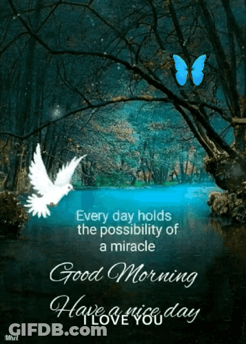 Butterfly Over Water Saying Every Day Holds A Miracle GIF