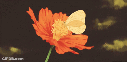 Butterfly Perched On Red Flower Saying Butterfly GIF