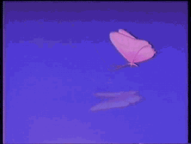 Butterfly Retro GIF