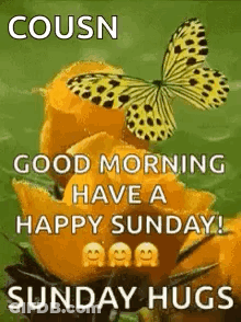 Butterfly Saying Good Morning Have Happy Sunday GIF
