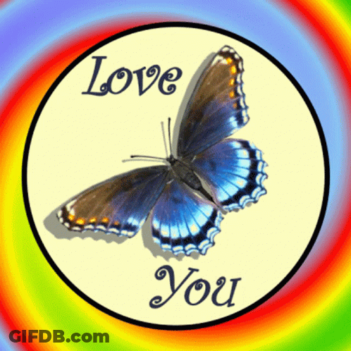 Butterfly Saying Love You GIF
