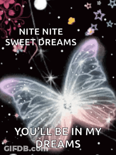 Butterfly Saying Nite Nite Sweet Dreams GIF